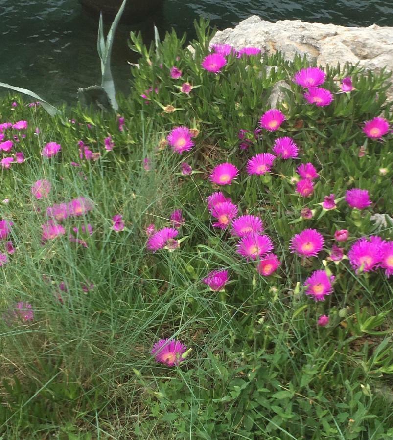 Guesthouse Antonija Veli Lošinj 外观 照片